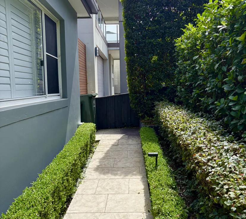 After, path hedge cut back into shape, by Golden Landscaping