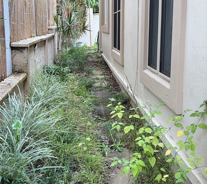 Before, side path cleared and weeded