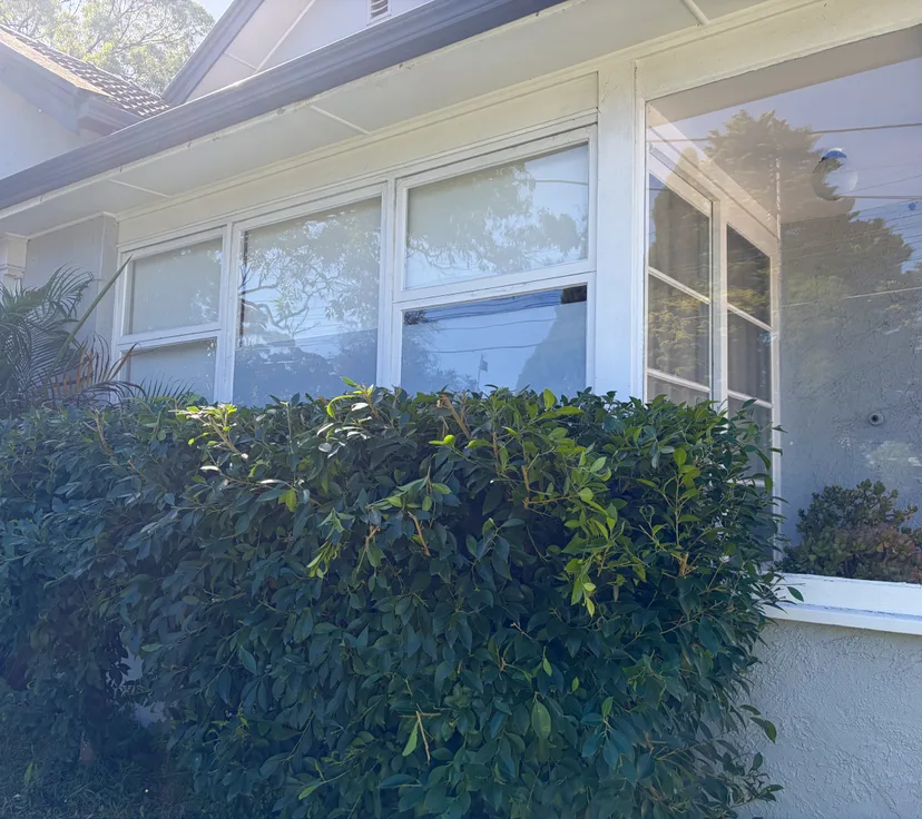 After, shrubs cut back off the windows, by Golden Landscaping