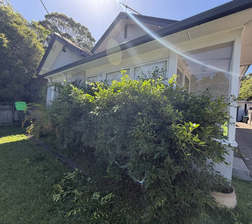 Before, shrubs cut back off the windows