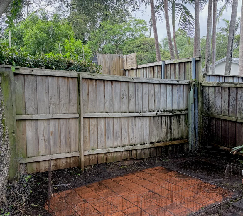 After, overgrown back corner cleared, by Golden Landscaping