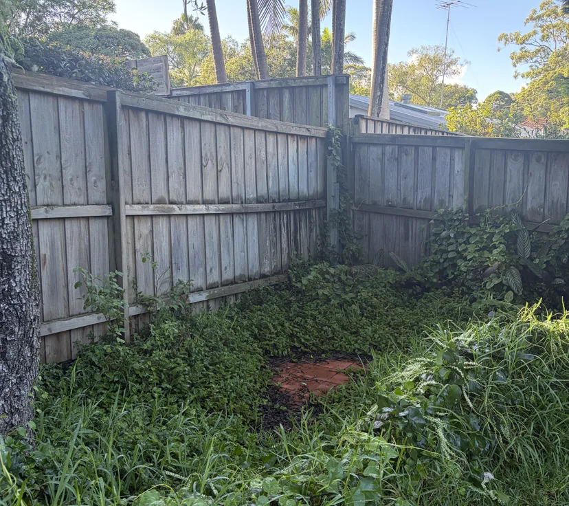 Before, overgrown back corner cleared