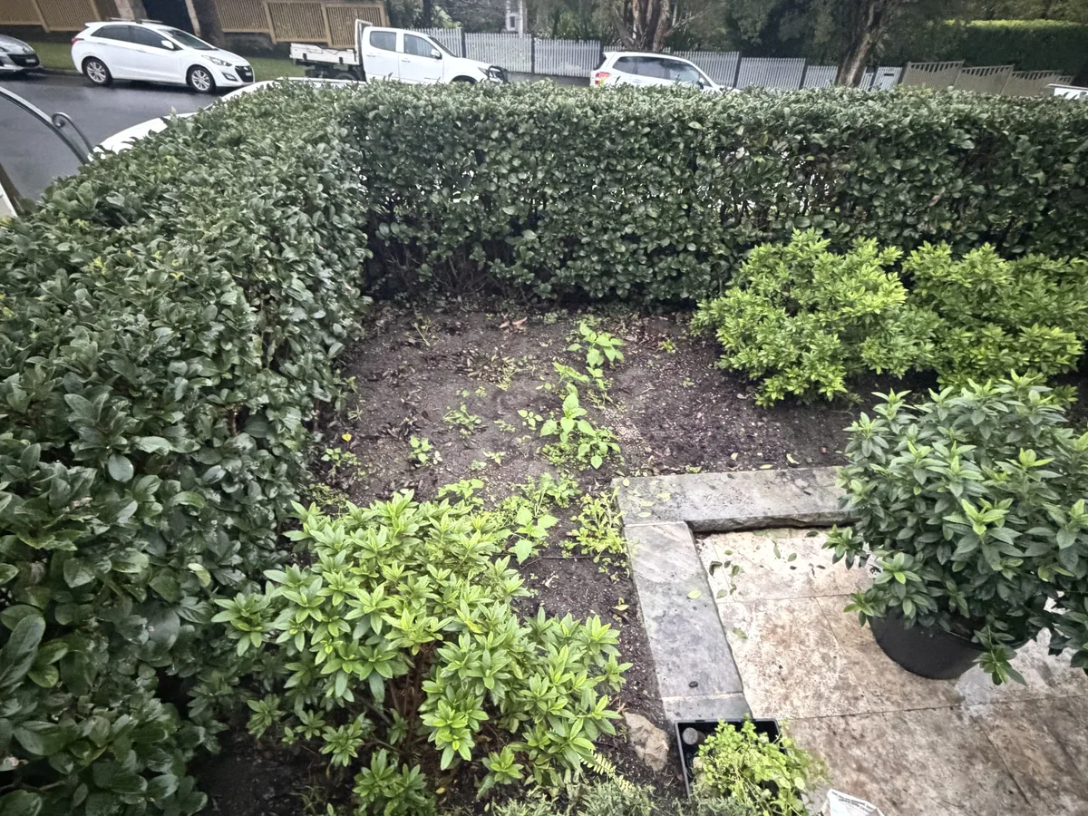 A planted garden bed and stone steps kept clear and tidy, by Golden Landscaping