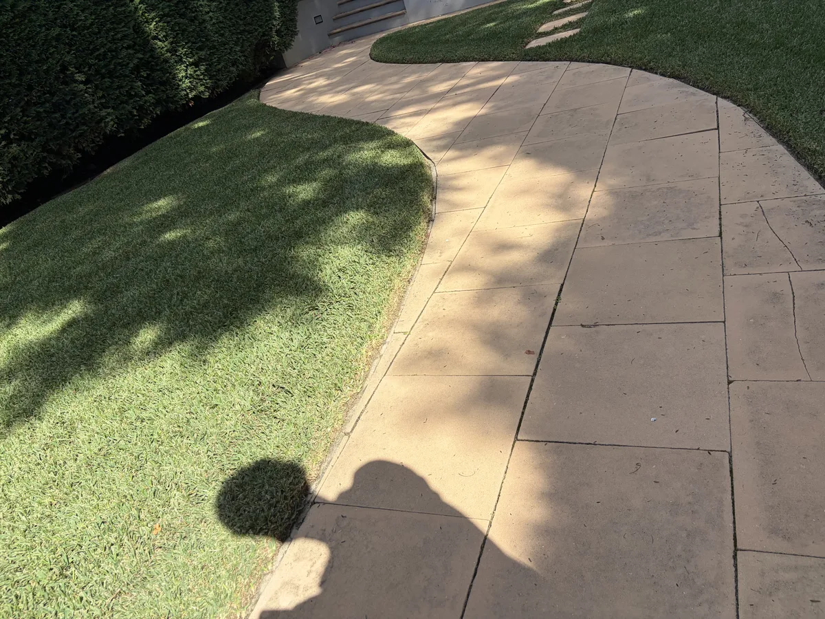 A mown lawn edged clean against a curved concrete path, by Golden Landscaping