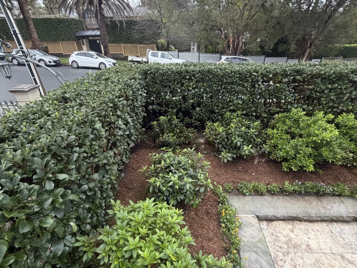 Garden Bed Design, Golden Landscaping, Sydney
