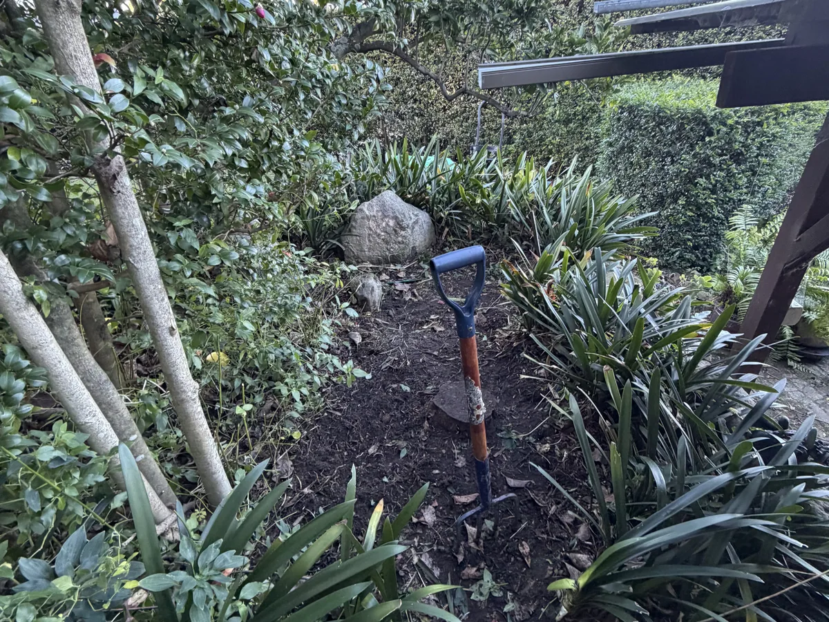 Planting, Golden Landscaping, Sydney